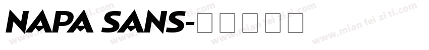 NAPA SANS字体转换